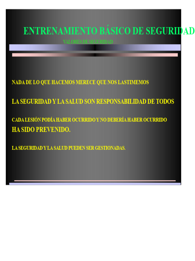 Entrenamiento Básico en Seguridad Laboral | PDF