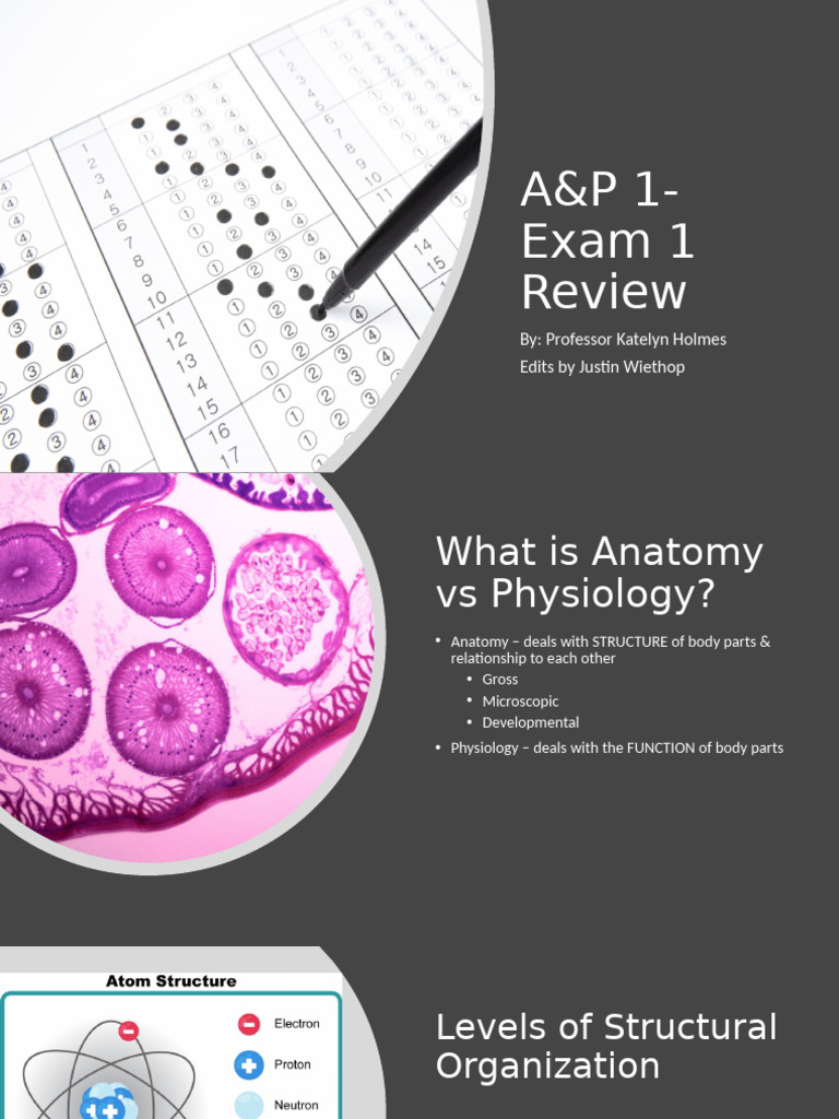 A&P1 Exam 1 Review | PDF | Chemical Bond | Atoms