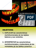 Tema Tejido Nervioso y Muscular