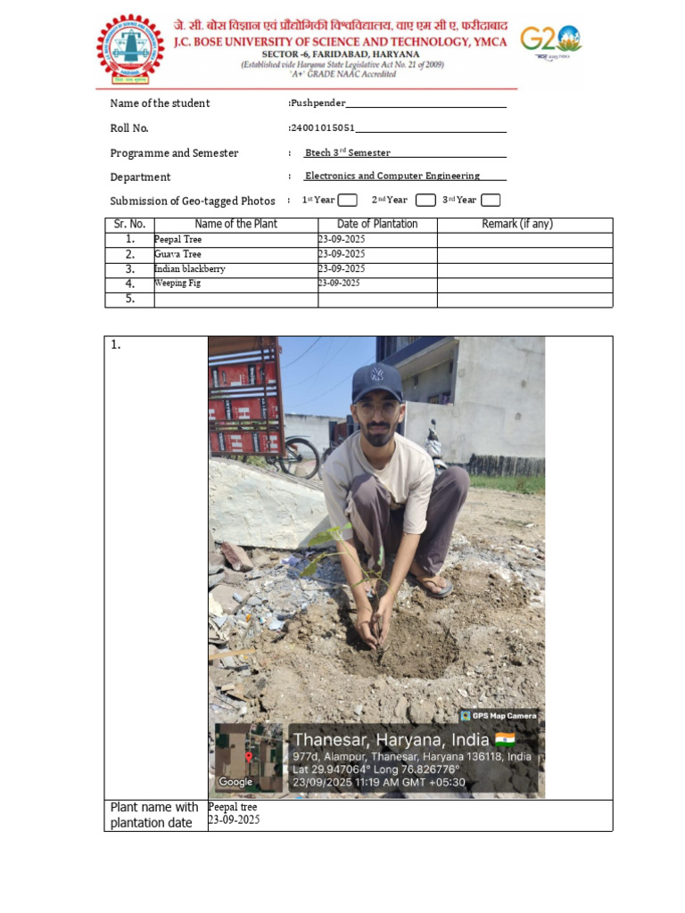 Tree Plantation Format | PDF