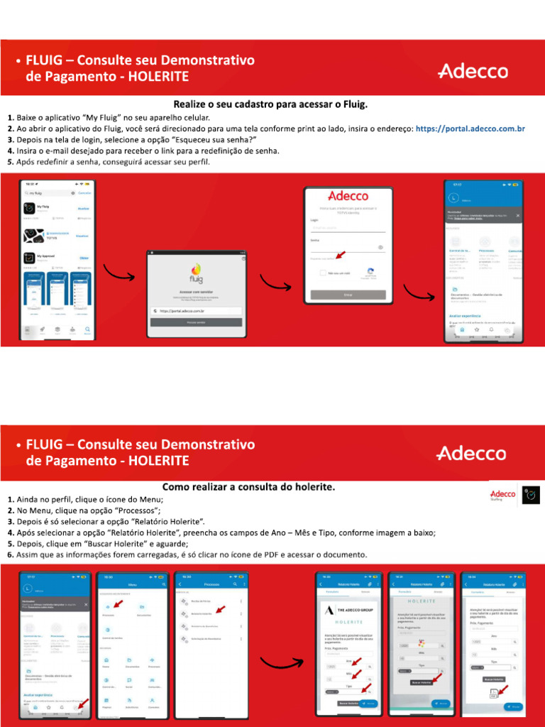 Manual Fluig 1 | PDF