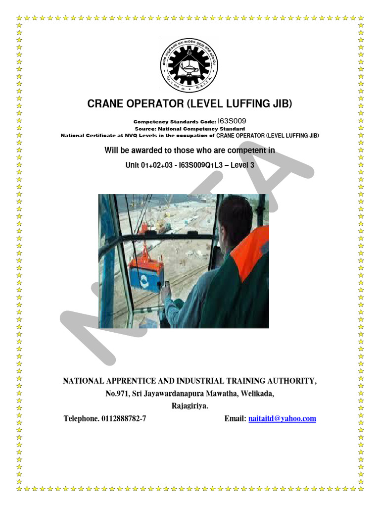Crane Operator Level Luffing Jib Standards | PDF