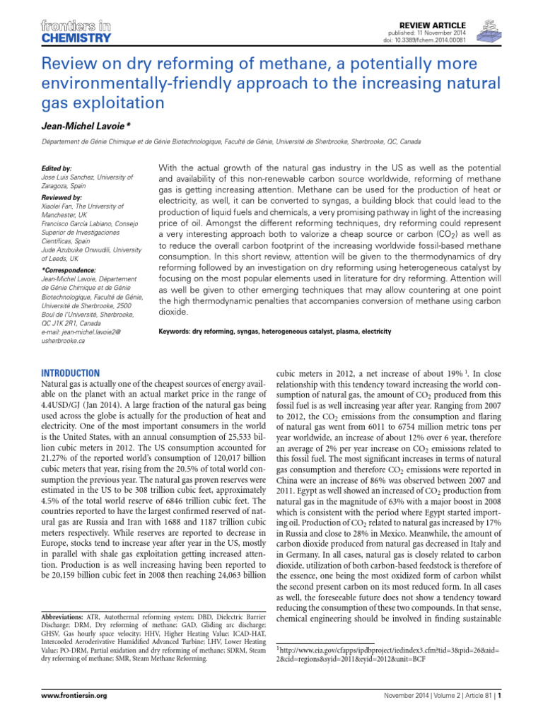 Dry Reforming of Methane Review | PDF | Catalysis | Methane
