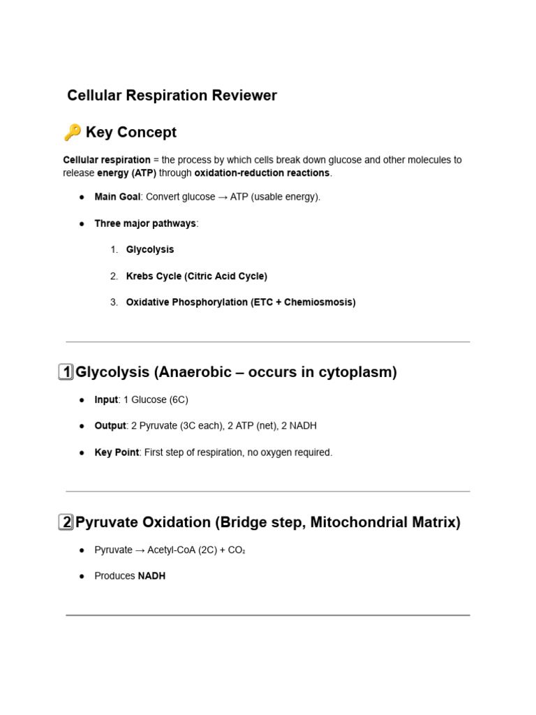 Cellular Respiration and Fermentation Overview | PDF | Cellular ...