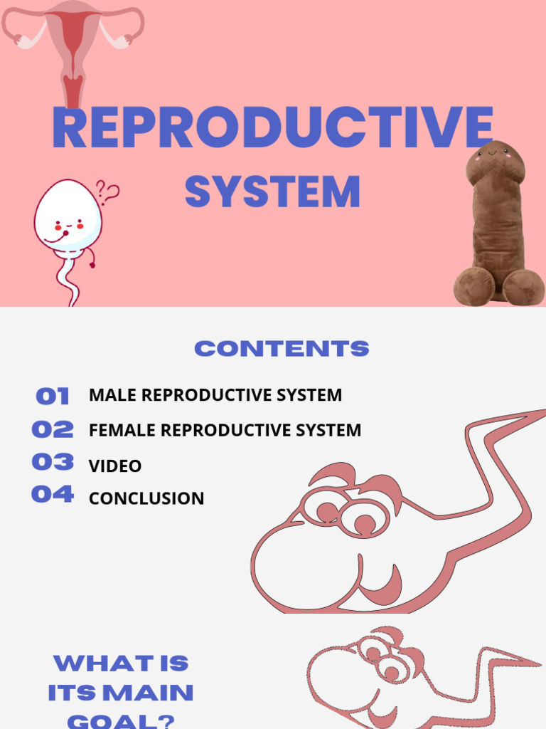 Reproductive: System | PDF