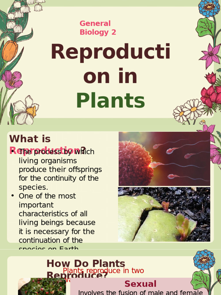Plant Reproduction: Sexual and Asexual Methods | PDF | Sexual ...