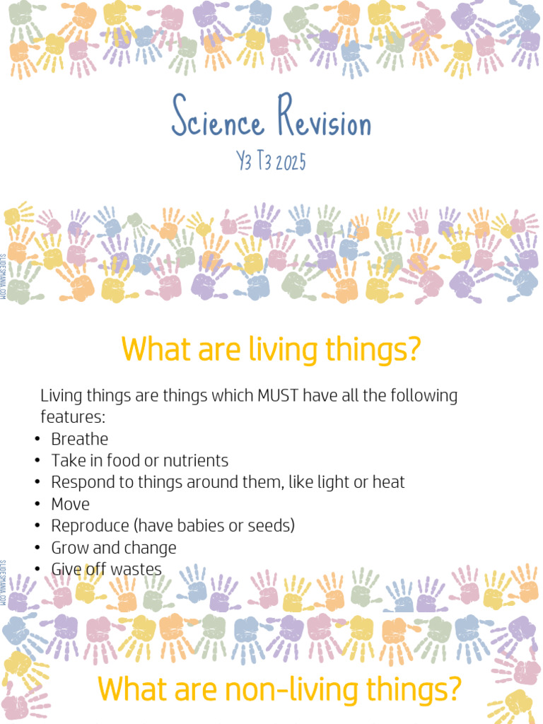 Science Revision Y3 T3 2025 | PDF | Plants | Foods