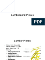 Lumbosacral Plexus