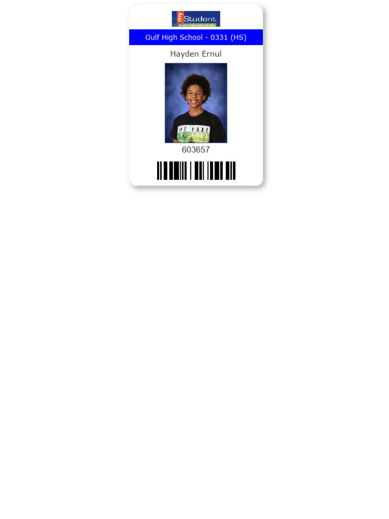 My Student | PDF