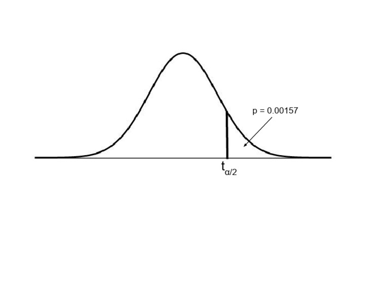 Stats Project Report | PDF