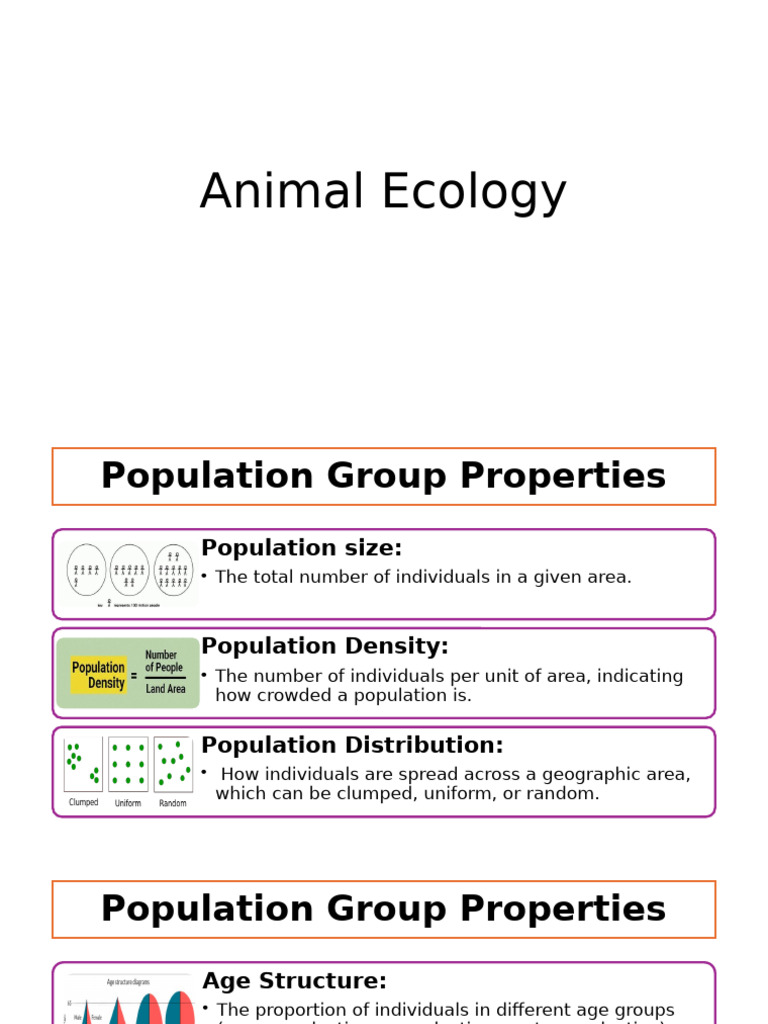 Animal Ecology Presentation | PDF
