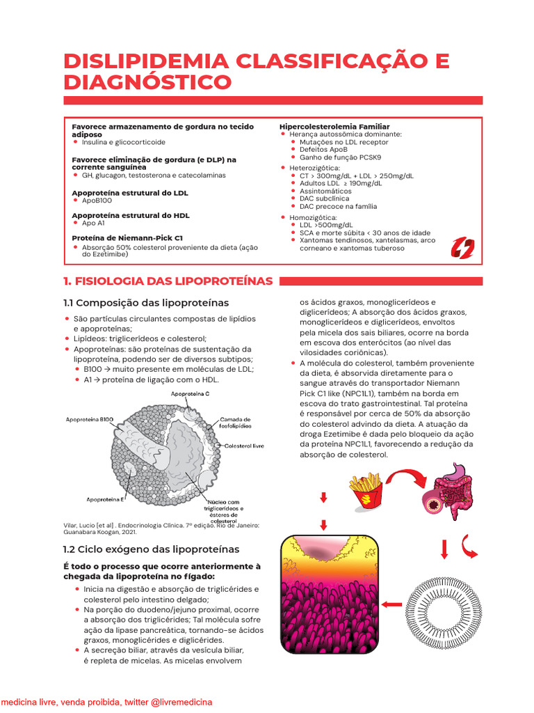 Dislipidemias: Classificação e Diagnóstico | PDF | Doença arterial ...