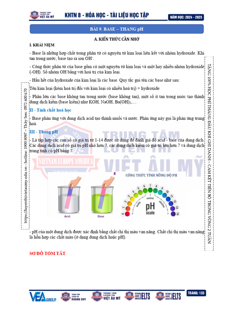 Bazo | PDF