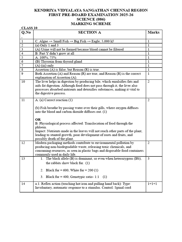 X Sci MS Set 1 PB1 29.11.2025 | PDF | Fertilisation | Acid