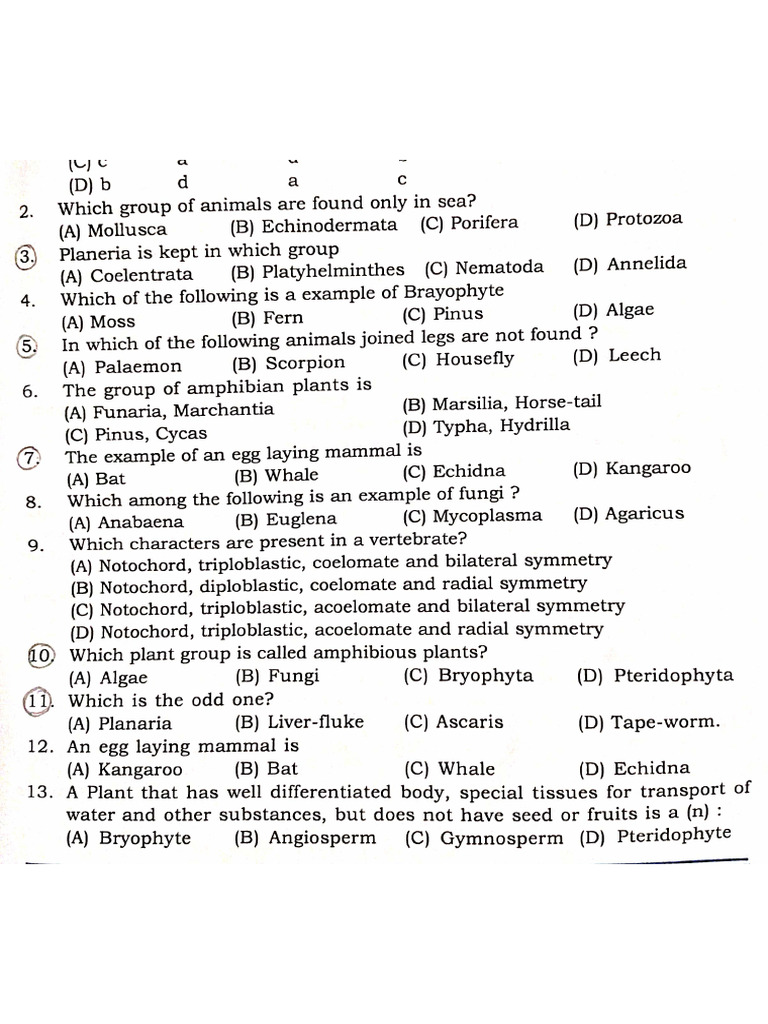 9th BIOLOGY-26-11-2025 | PDF