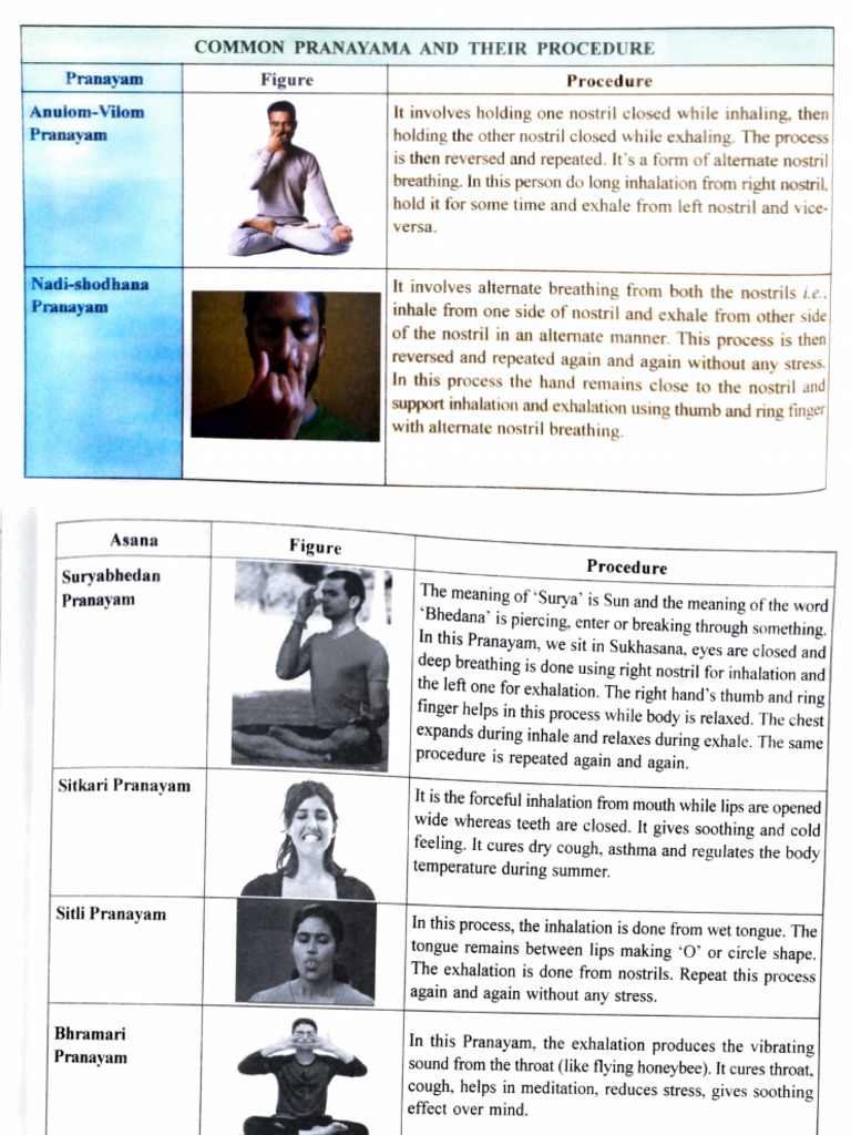 Common Pranayama Techniques Explained | PDF | Abdomen | Breathing