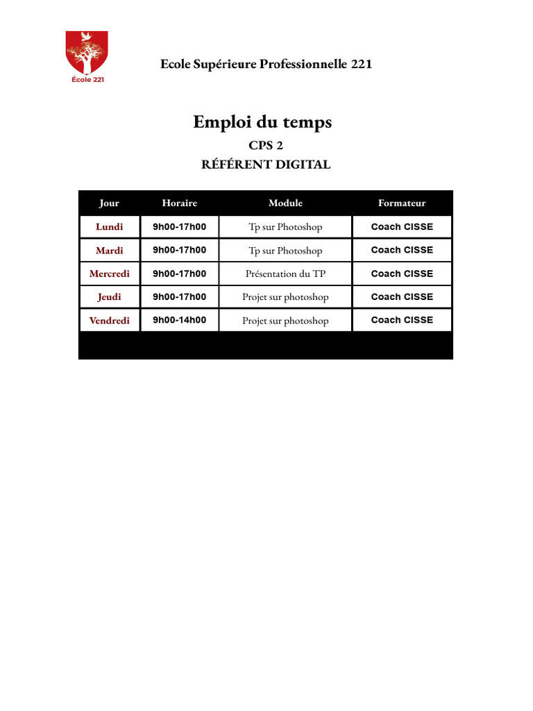 Emploi du temps CPS 2 - Référent Digital | PDF