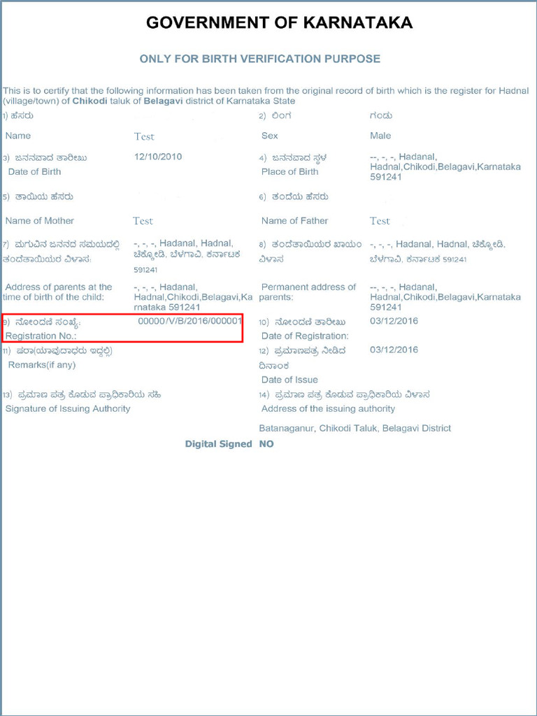 Birth Certificate Preview | PDF