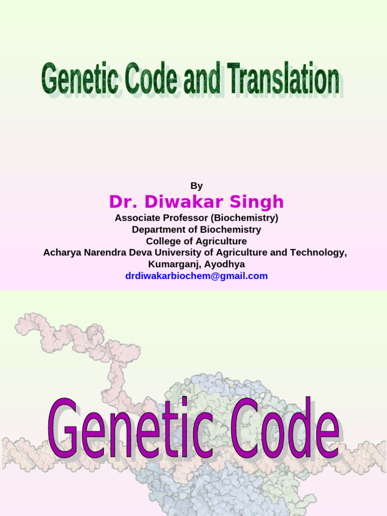 Genetic Code and Translation | PDF | Genetic Code | Translation (Biology)