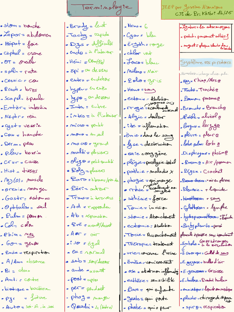 MEP Terminologie | PDF