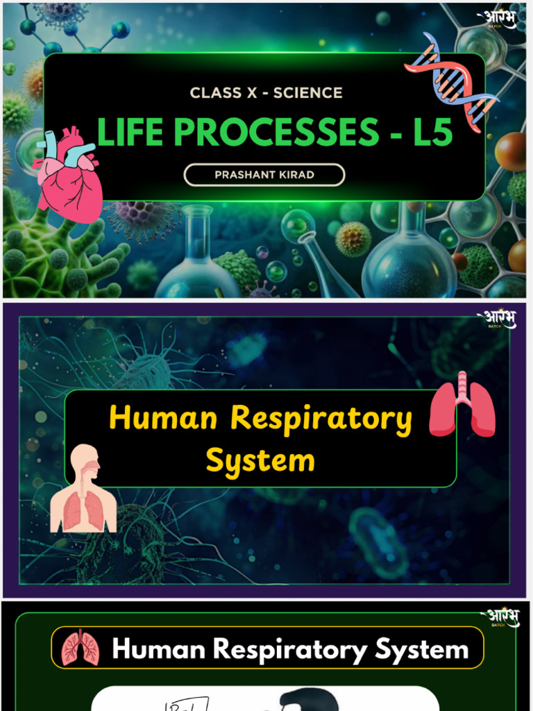 Life Processes 5 | PDF