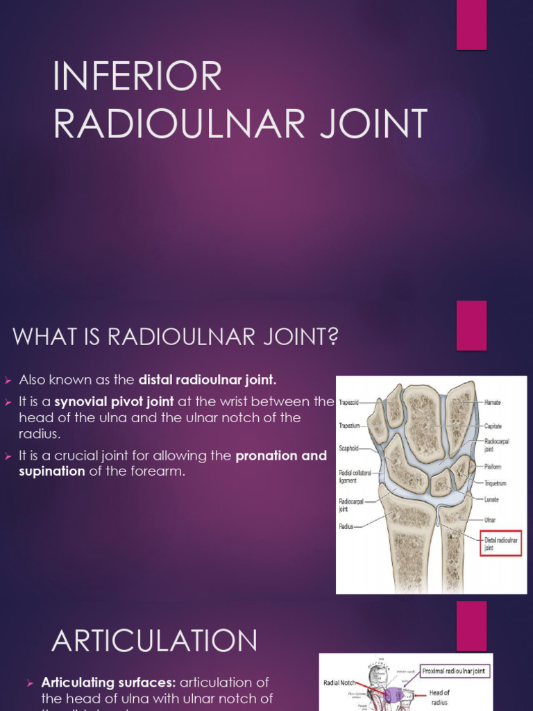 Understanding the Distal Radioulnar Joint | PDF | Musculoskeletal ...