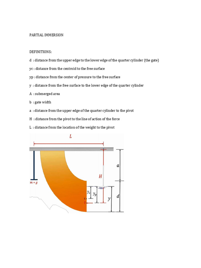 Partial Immersion | PDF
