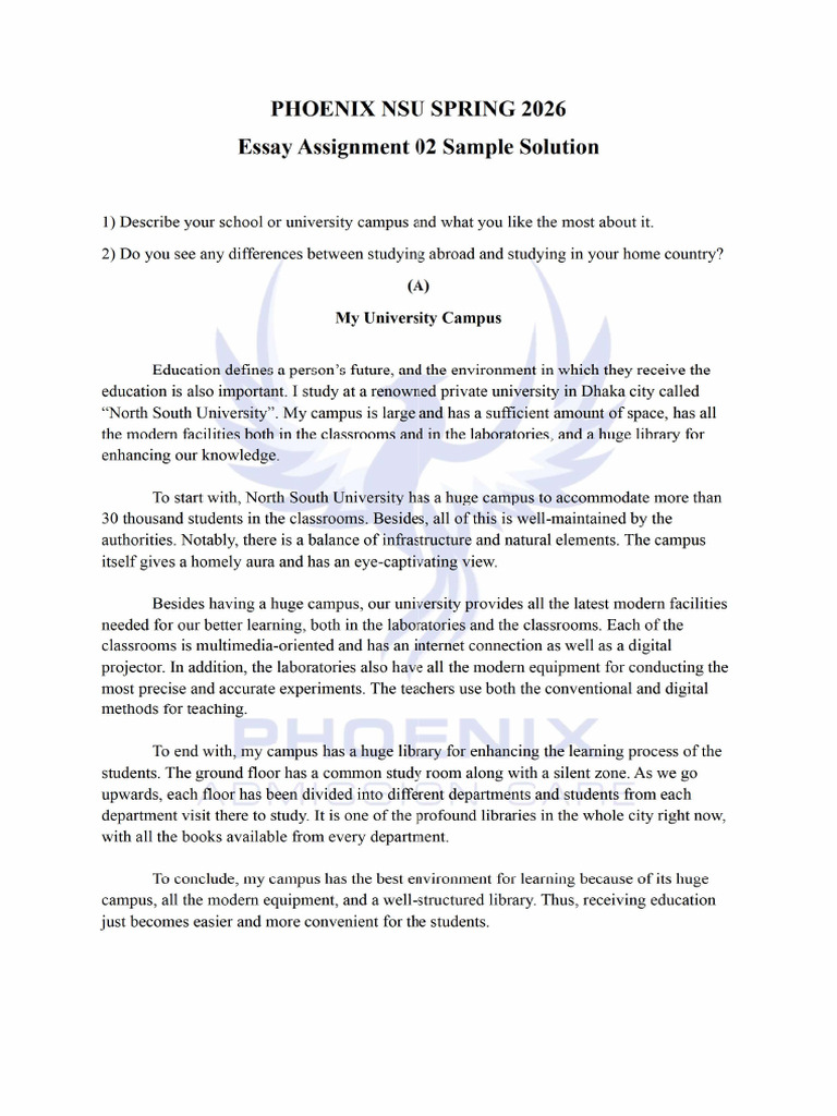 NSU Essay-2 | PDF