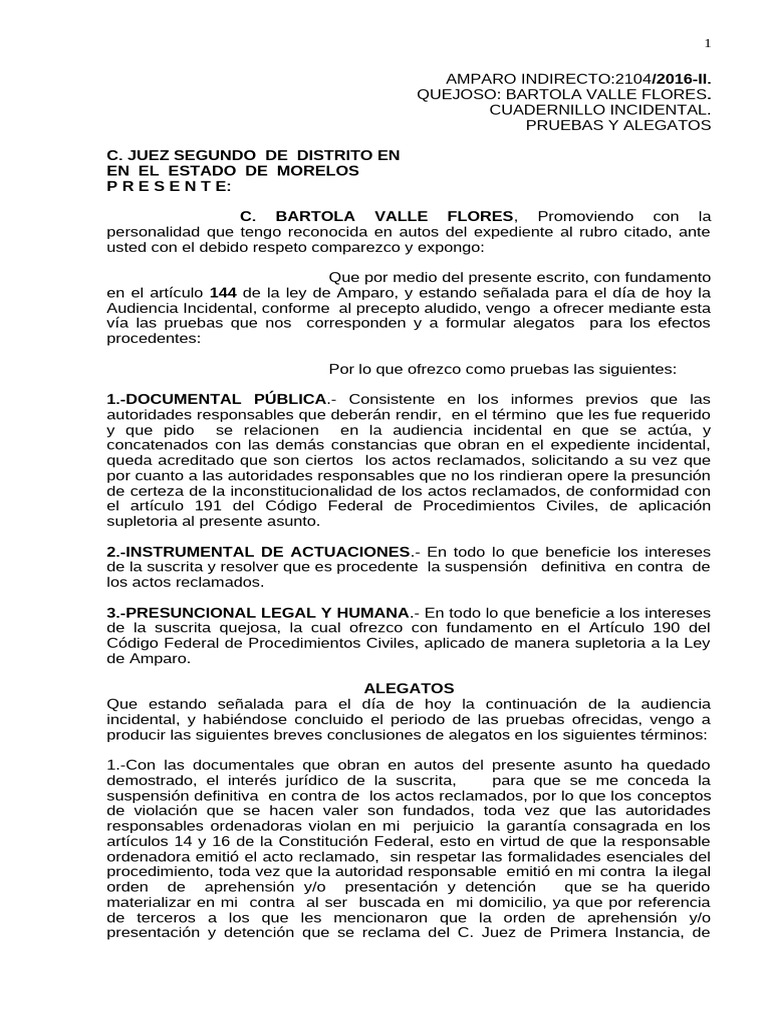 Alegatos y Pruebas en Amparo Indirecto | PDF | Debido al proceso | Justicia
