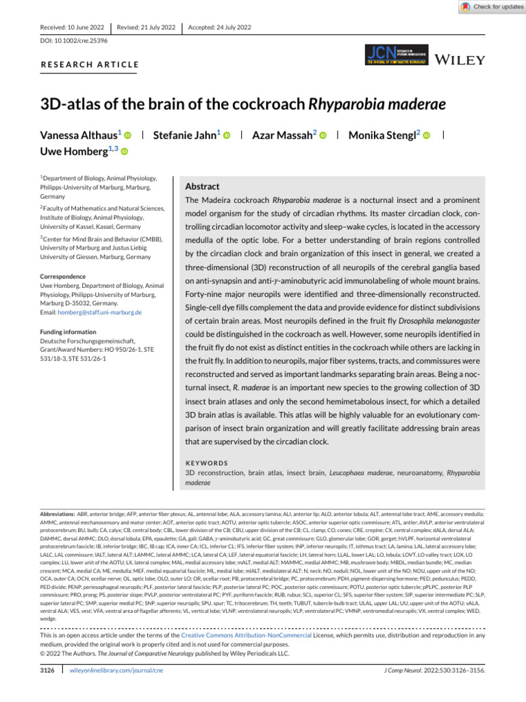 J of Comparative Neurology - 2022 - Althaus - 3D‐Atlas of the Brain of ...
