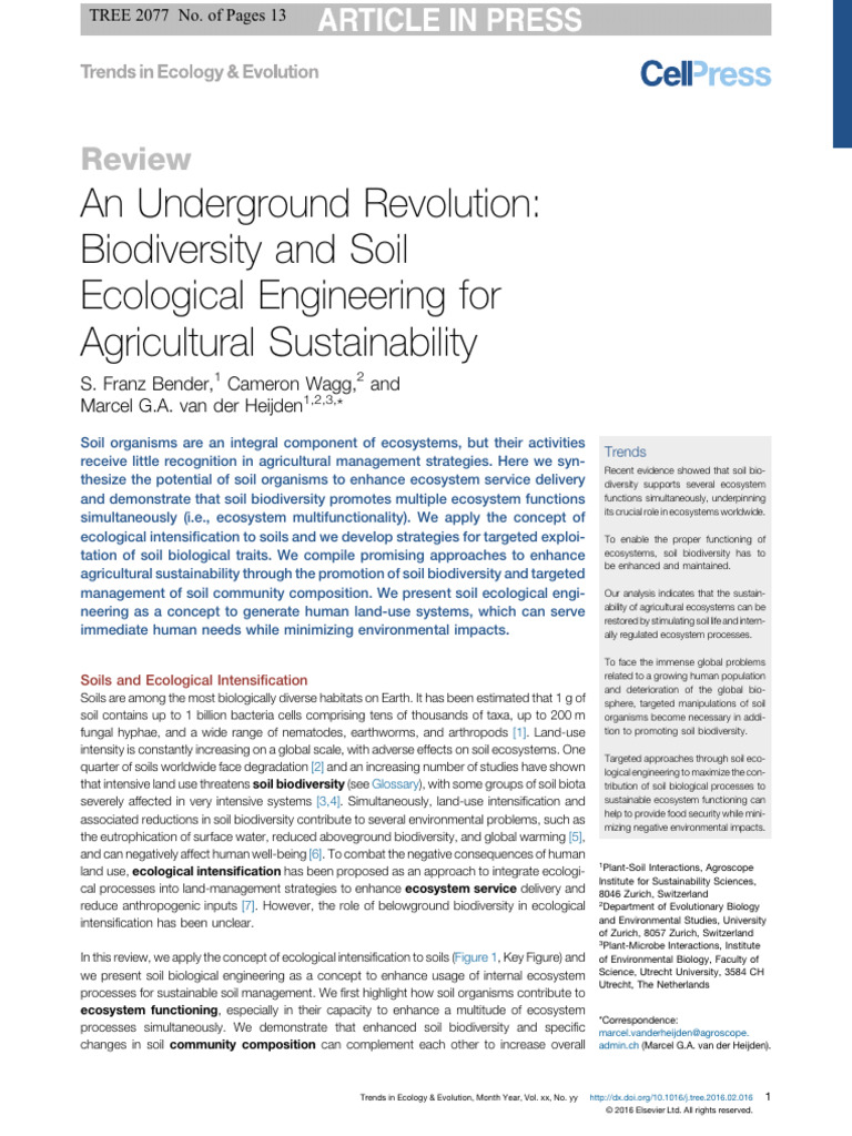 Enhancing Soil Biodiversity for Sustainability | PDF | Soil | Ecosystem