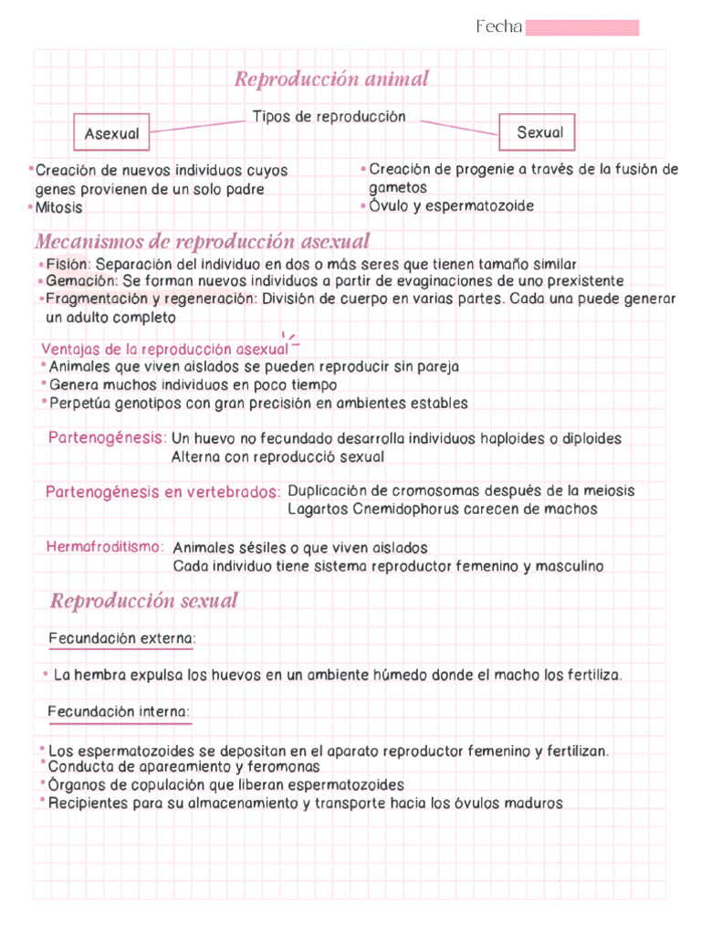 Repro | PDF