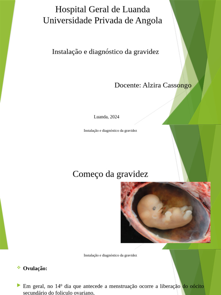 Diagnóstico e Instalação da Gravidez | PDF | Gravidez | Fertilização