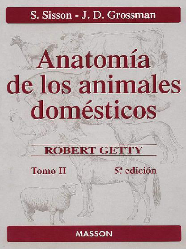 Sisson Tomo 2 | PDF