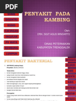 Download Penyakit Pada Kambing by Sigit Agus Windarto SN96582790 doc pdf