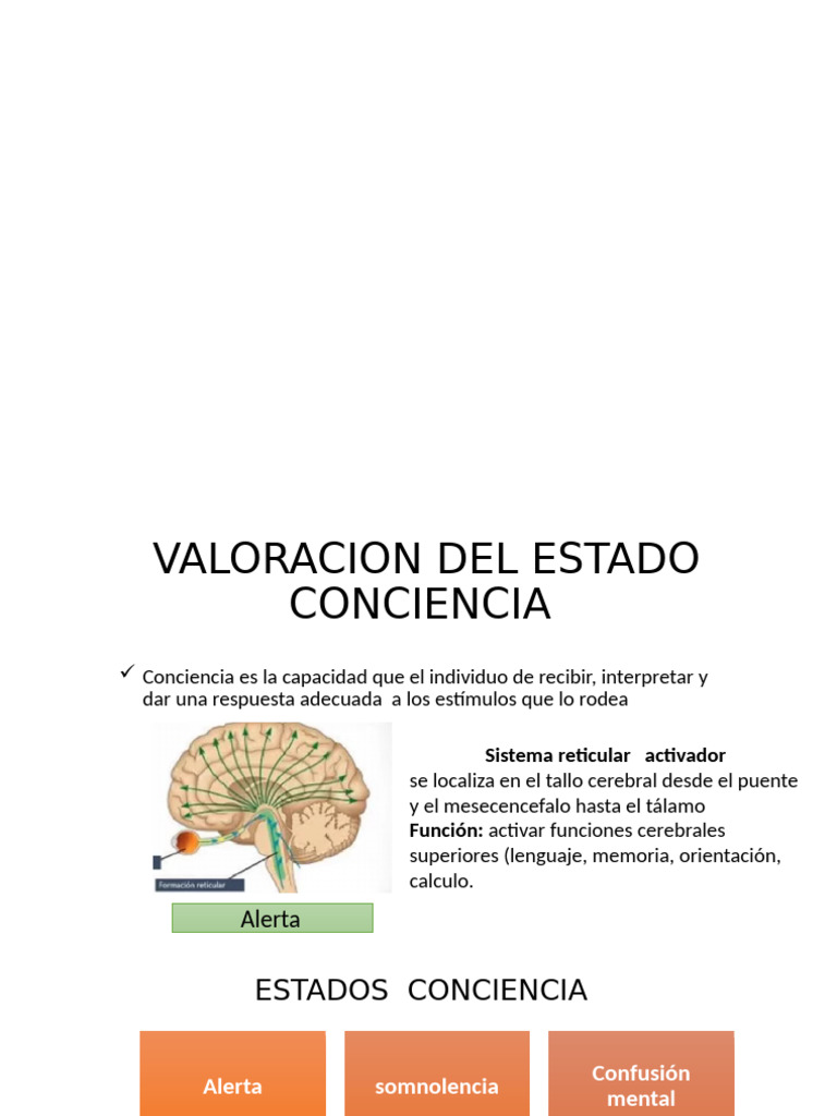 Evaluación de Estados de Conciencia y Lenguaje | PDF | Sistema nervioso ...