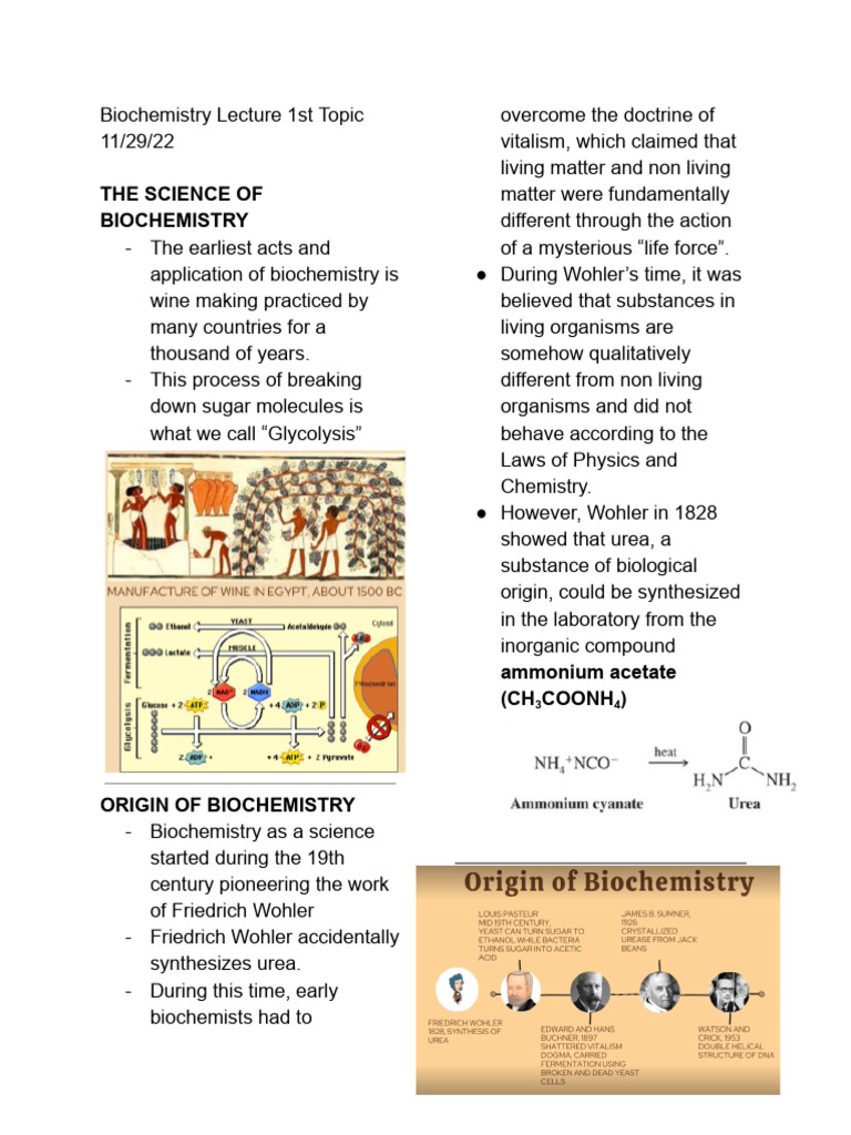 Biochemistry Lecture Midterms | PDF | Rna | Messenger Rna
