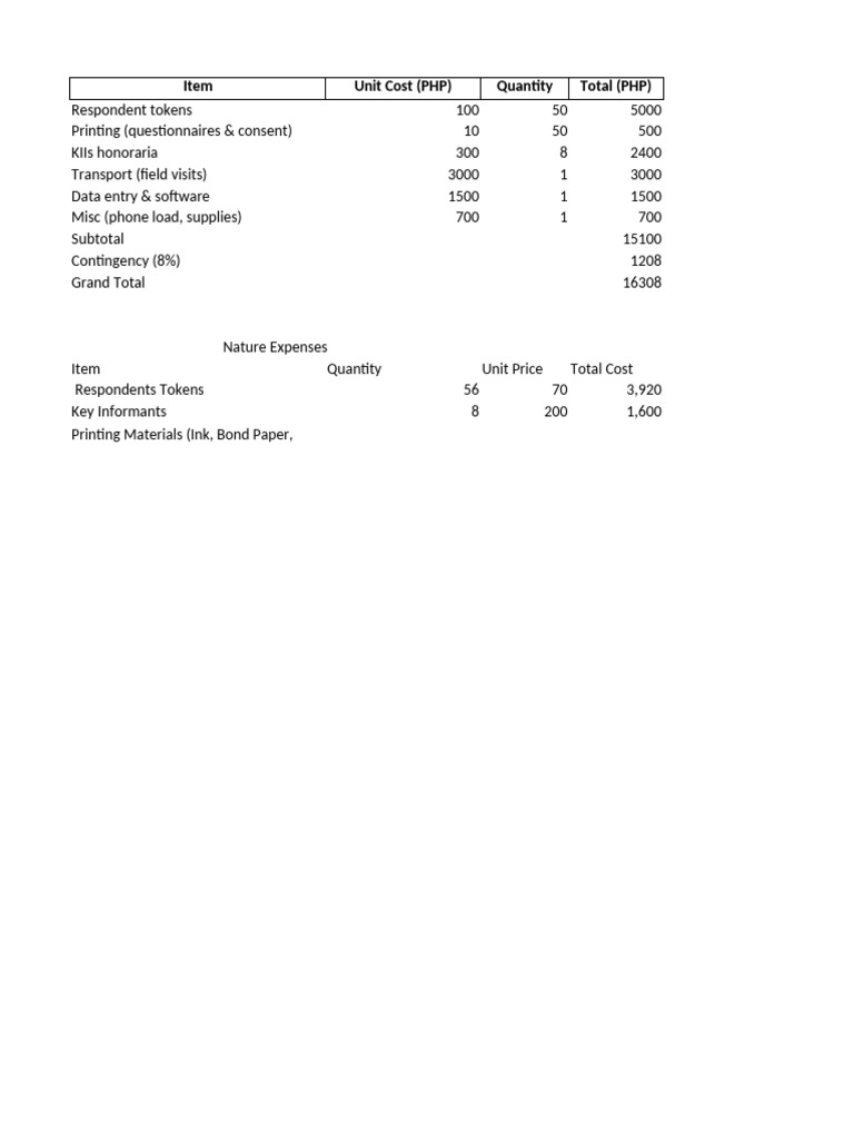 Budget Breakdown for Research Expenses | PDF