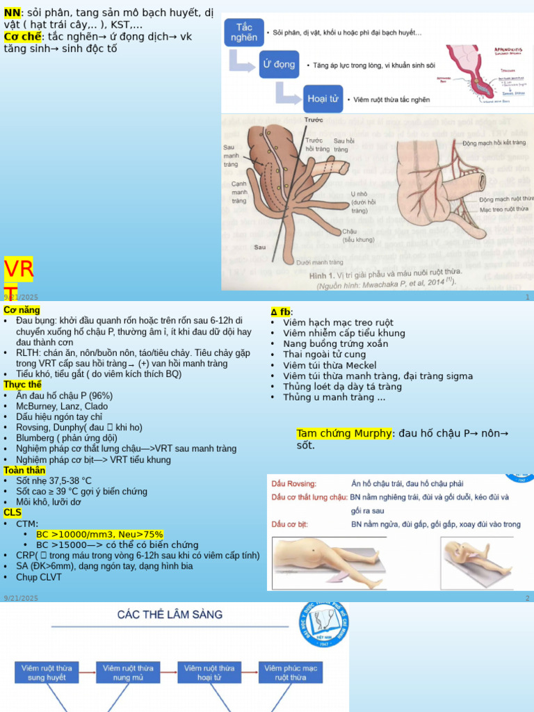 VRT | PDF