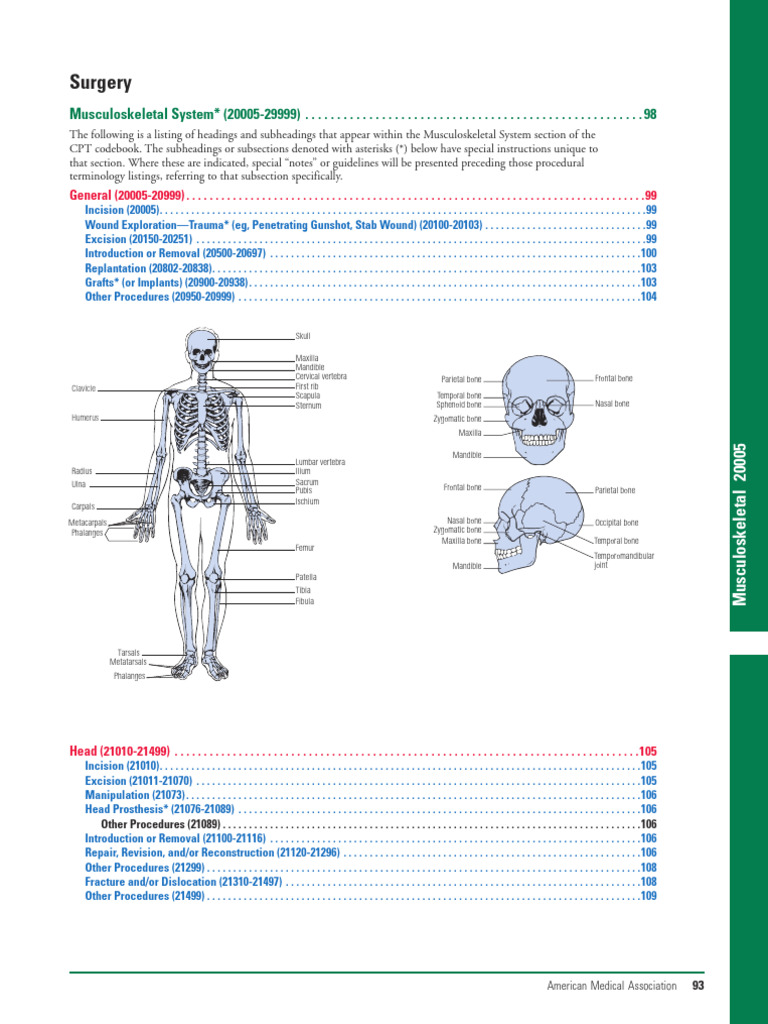 Musculoskeletal Surgery CPT Codes Guide | PDF | Vertebra | Human Anatomy