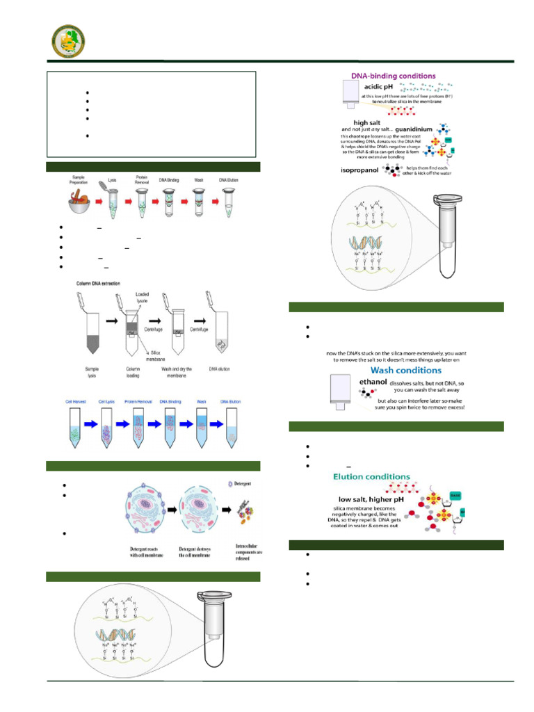 DNA/RNA Extraction Techniques Guide | PDF | Lysis | Biochemistry