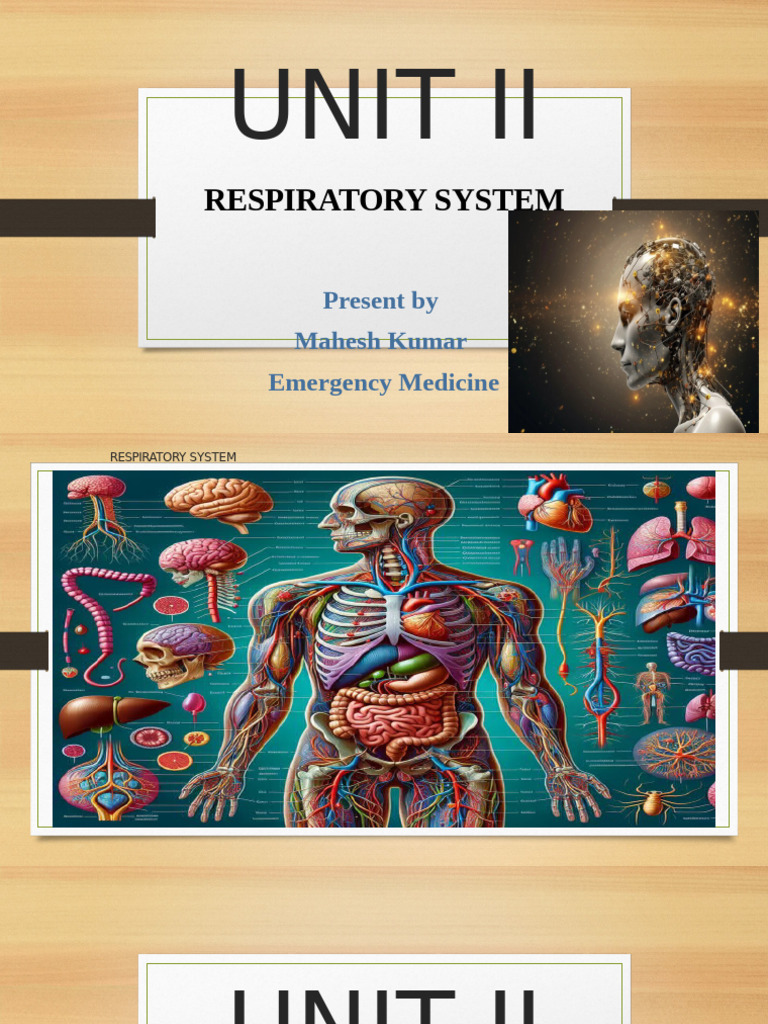 Anatomy and Physiology Unit 2 (1) (1) 1 | PDF | Respiratory Tract | Lung