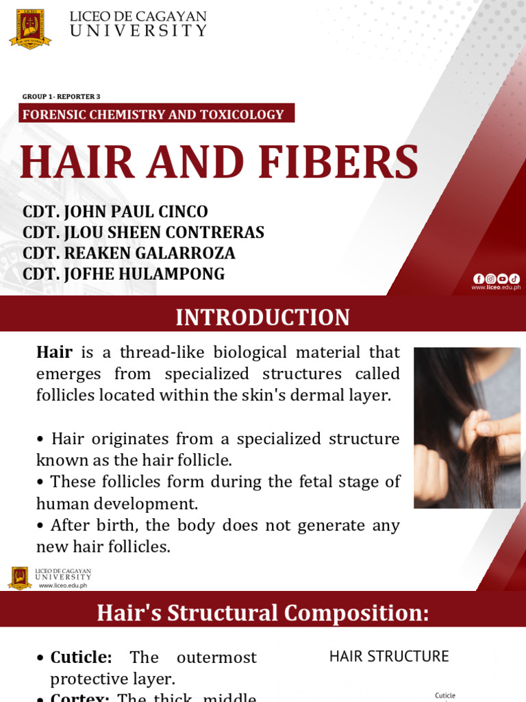 Forensic Analysis of Hair and Fibers | PDF | Textiles | Crime Scene