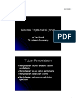 Microsoft PowerPoint - Sistem Genitalia Male (Pria) .PPT (Compatibility M