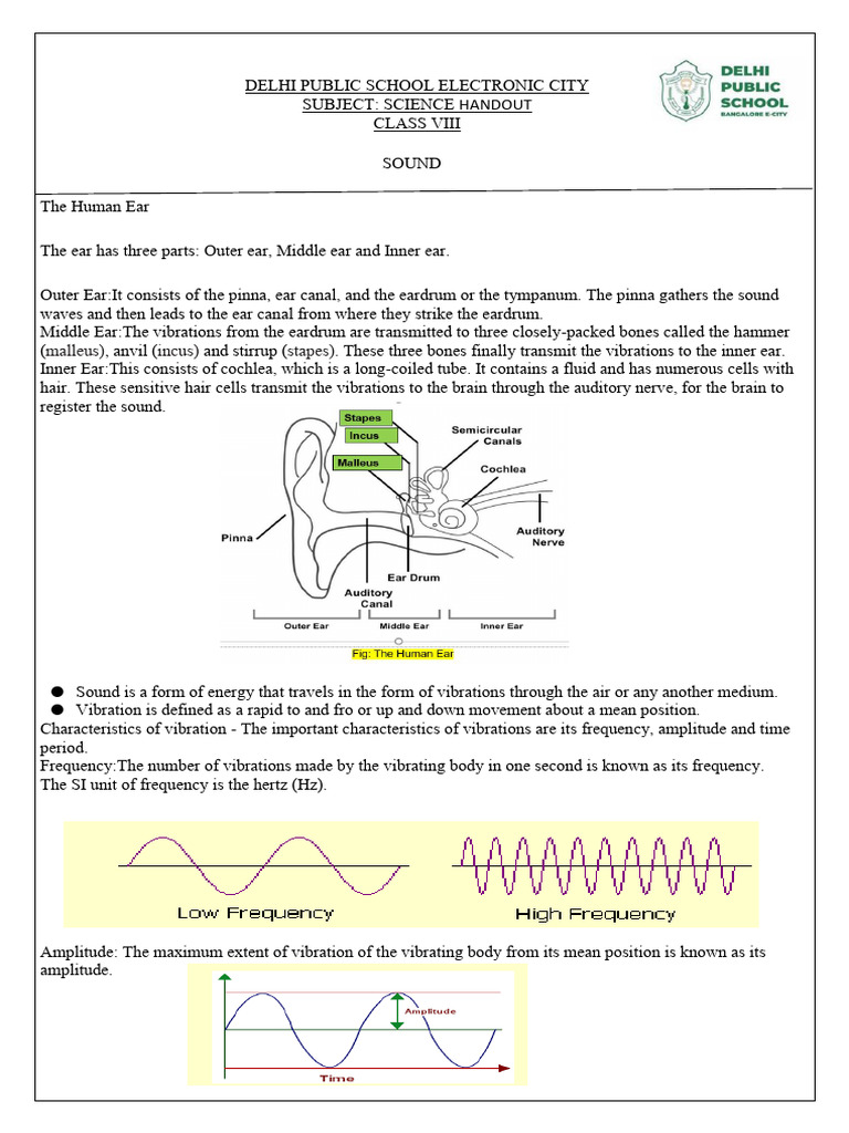 Sound: Human Ear & Characteristics | PDF | Ear | Sound