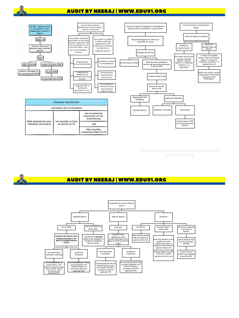 02 SA 705 cafa c7 | PDF | Audit | Auditor's Report