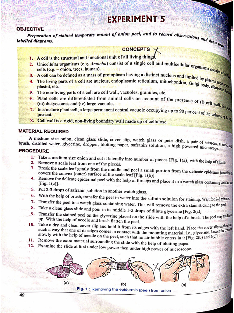 Biology Experiment 5&6 PG No 42-53 | PDF