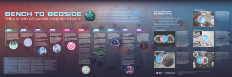 BD Immunotherapy Timeline | PDF