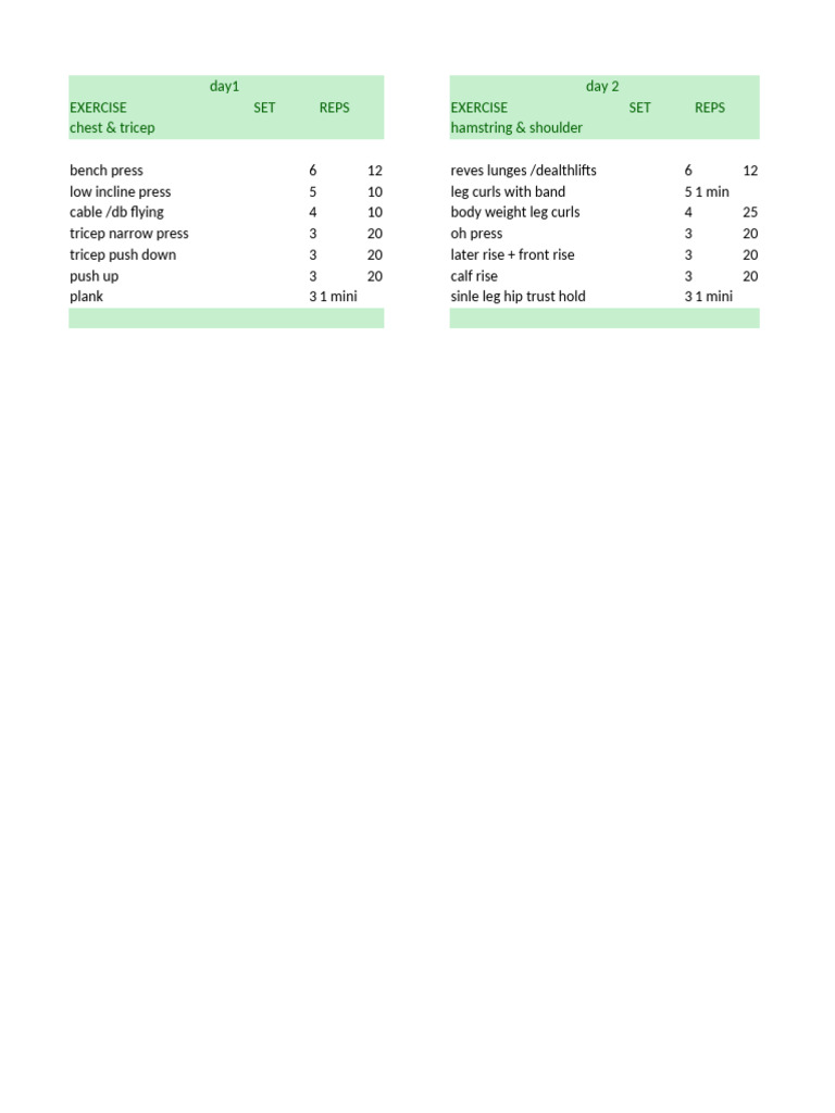 Workout Plan Muscle Gain 12 Week | PDF