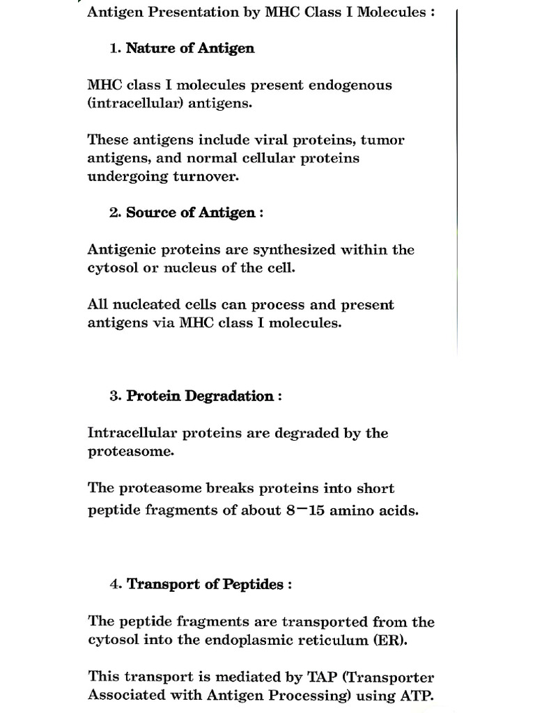 Antigen Presentation by MHC Class I Molecule. | PDF